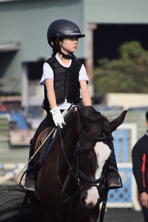 馬鞍|中華民國馬術協會Chinese Taipei Equestrian Association